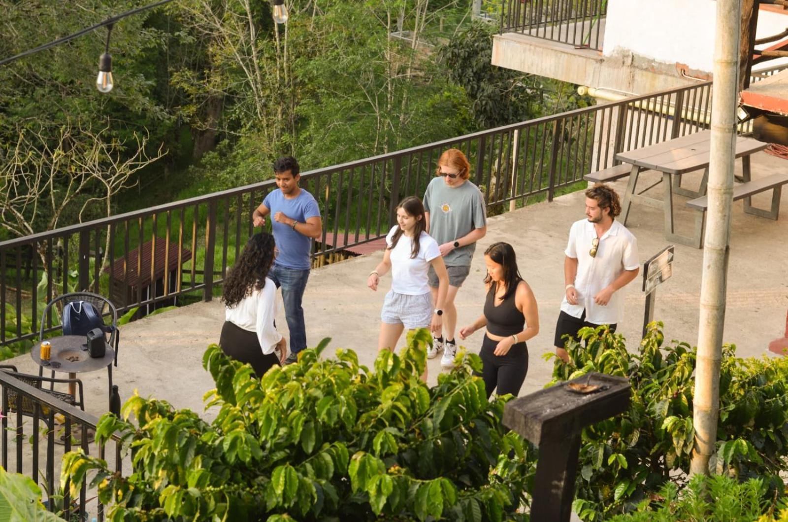 Coffee Tree Boutique Hostel 萨兰托 外观 照片