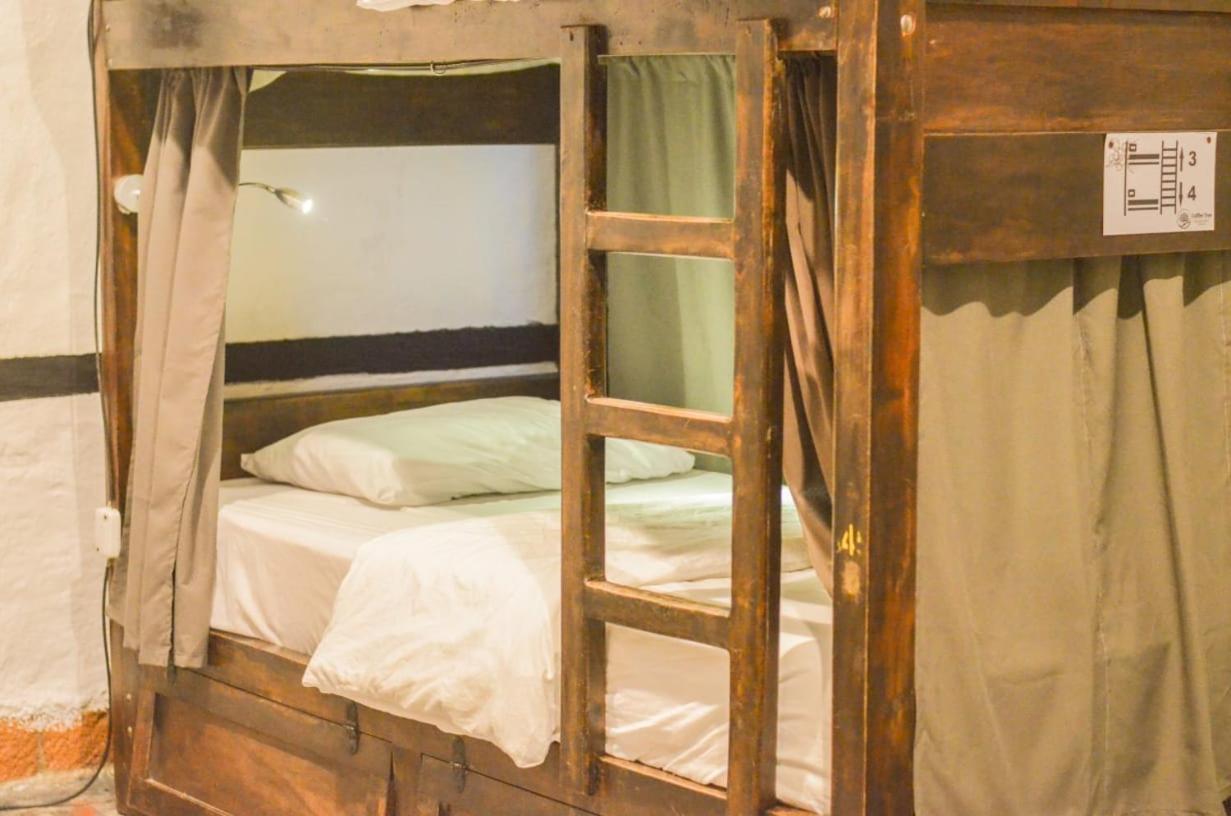 Coffee Tree Boutique Hostel 萨兰托 外观 照片