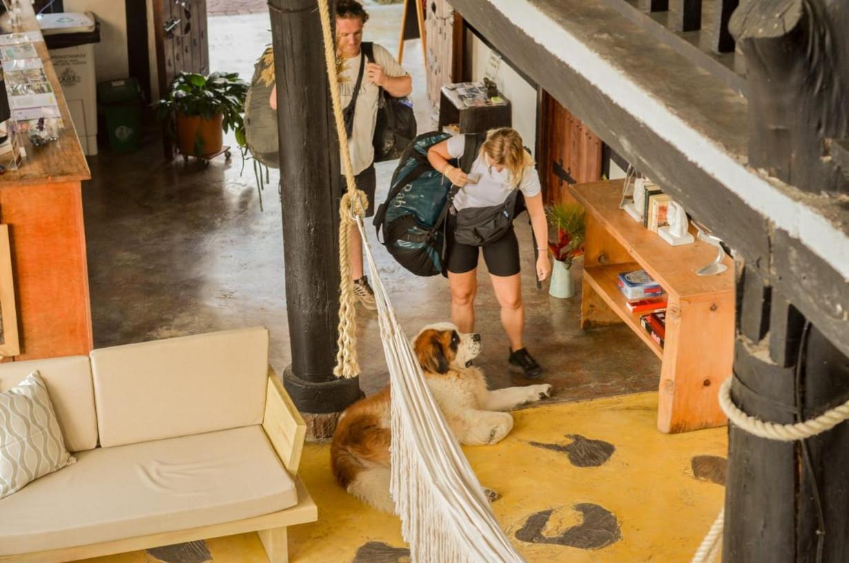 Coffee Tree Boutique Hostel 萨兰托 外观 照片