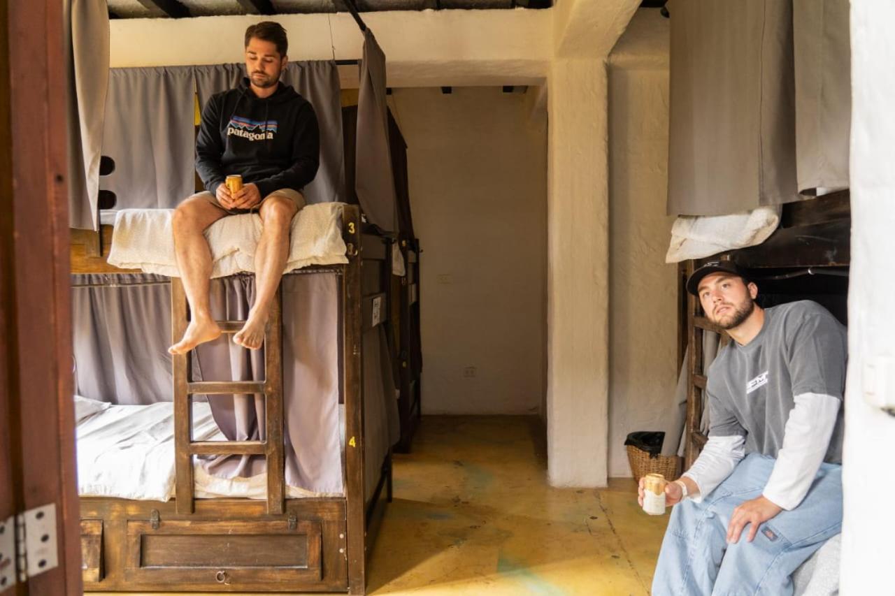 Coffee Tree Boutique Hostel 萨兰托 外观 照片