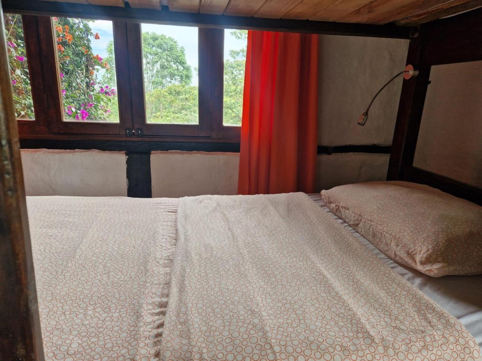 Coffee Tree Boutique Hostel 萨兰托 外观 照片