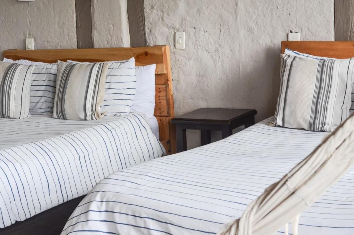 Coffee Tree Boutique Hostel 萨兰托 外观 照片