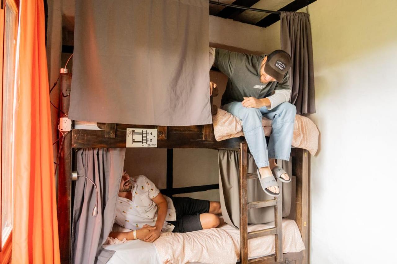 Coffee Tree Boutique Hostel 萨兰托 外观 照片
