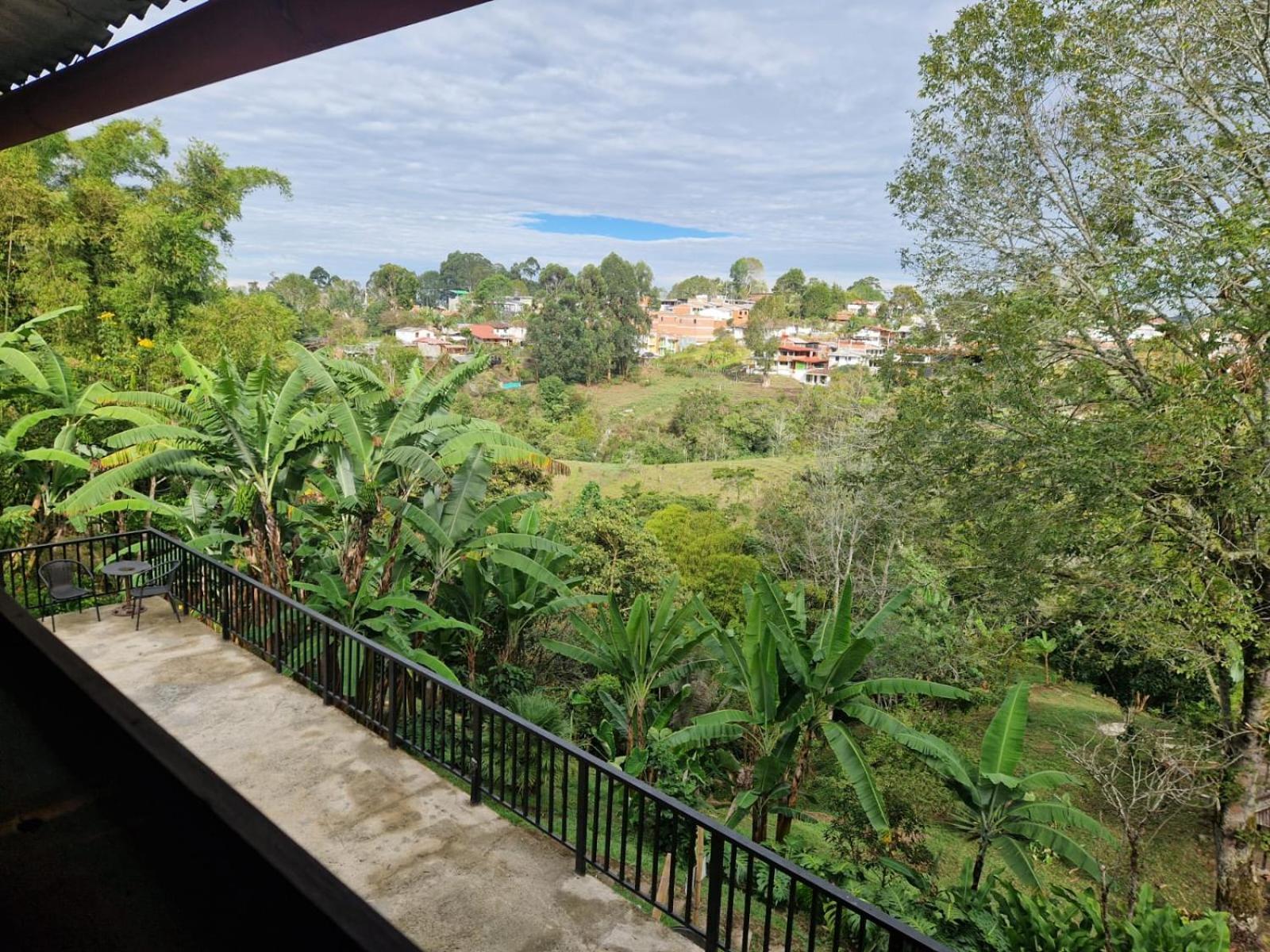 Coffee Tree Boutique Hostel 萨兰托 外观 照片
