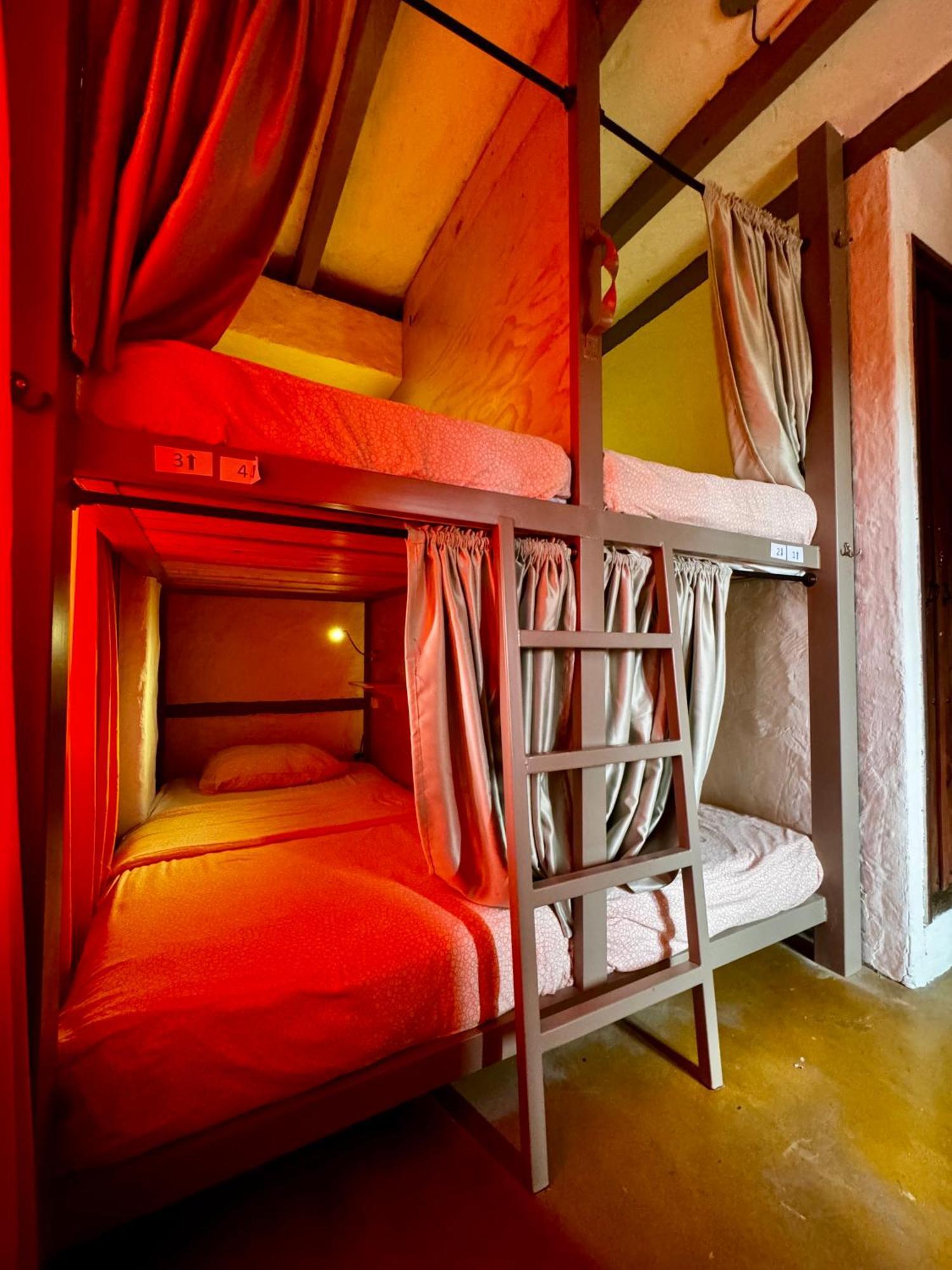 Coffee Tree Boutique Hostel 萨兰托 外观 照片